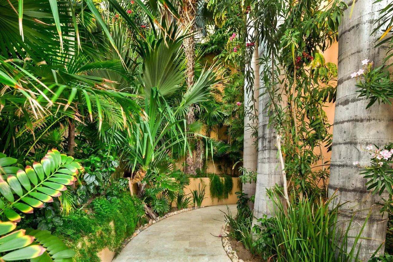 Exquisite Villa With Awesome Views & Staff In Pedregal!カボ・サン・ルーカス
